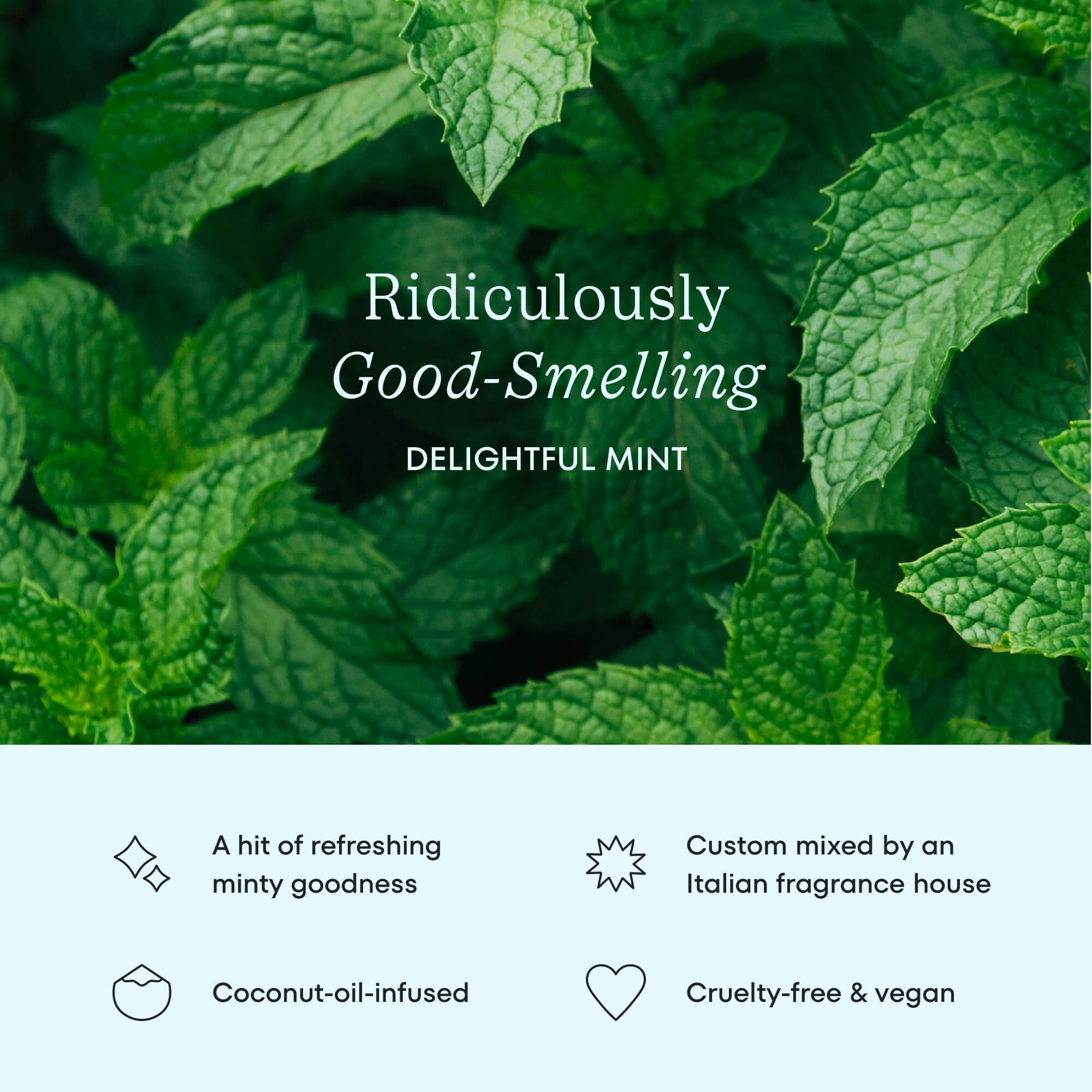 Delightful Mint Dental Floss 4